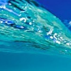 Meet your Posher, Adelaide